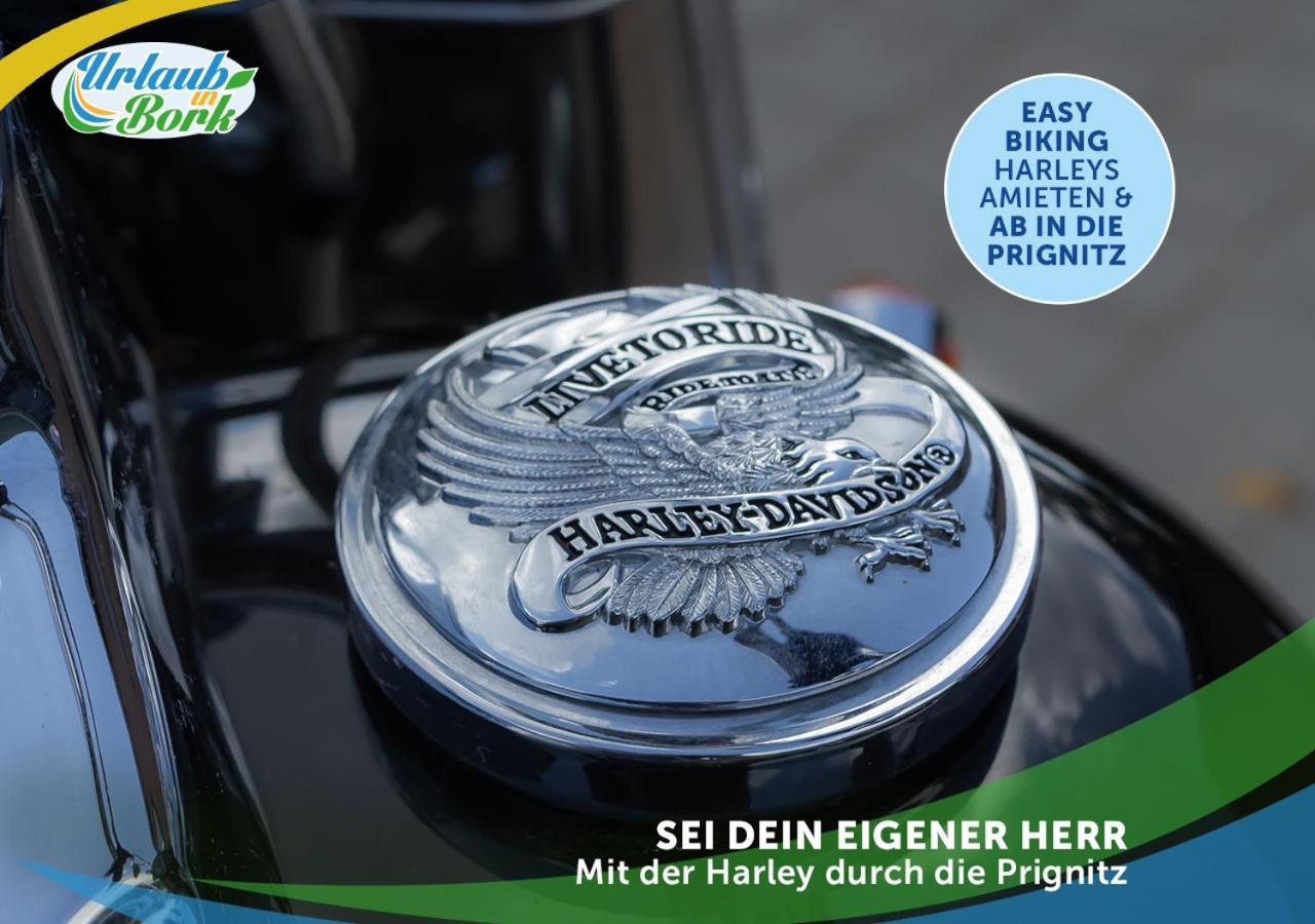 Jagd-Angler-Suite-04-Im-Wald-Am-See Kyritz Esterno foto