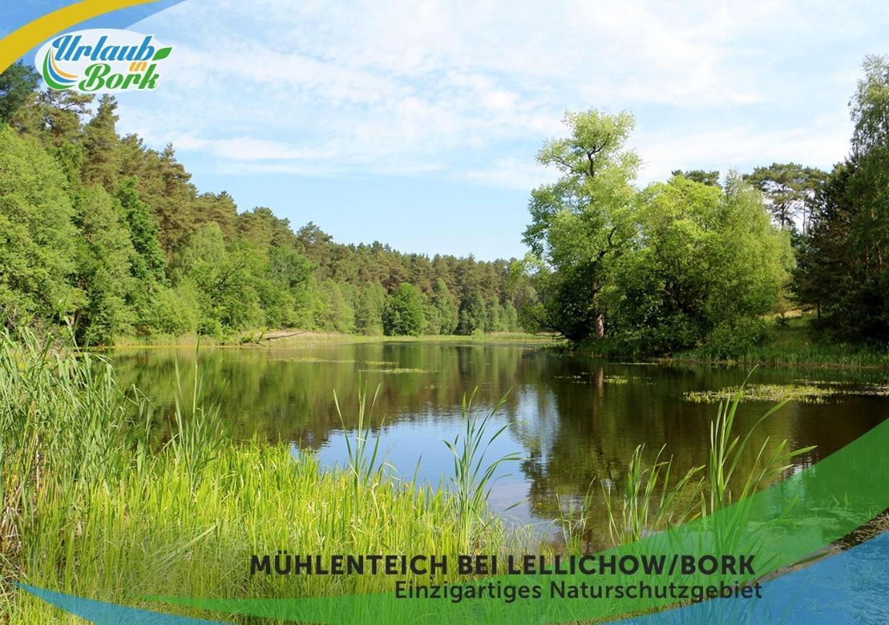 Jagd-Angler-Suite-04-Im-Wald-Am-See Kyritz Esterno foto